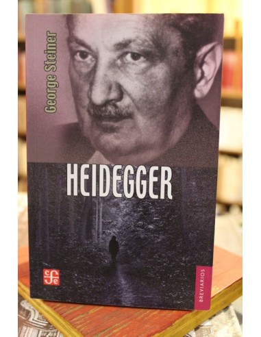 Heidegger (Usado)
