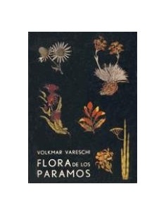 La aparición del hombre (Usado)