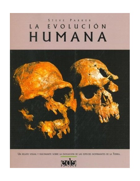 La evolución humana (Usado)