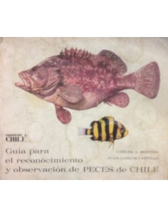 Guía para el reconocimiento y observación de peces de Chile (Usado)