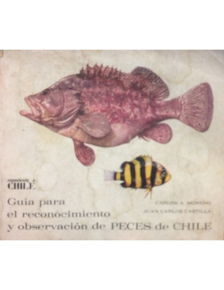 Guía para el reconocimiento y observación de peces de Chile (Usado) Guía para el reconocimiento y observación de peces de Chile (Usado)