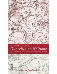 Guerrilla en Neltume (Nuevo)