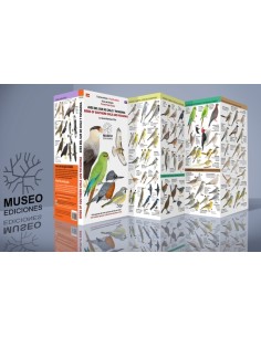 Aves del Sur de Chile y Patagonia (Nuevo)