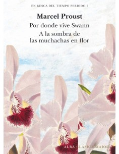 En busca del tiempo perdido, vol. I (Nuevo)