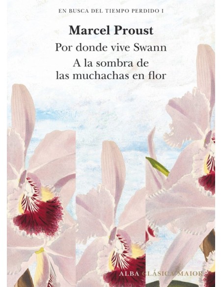 En busca del tiempo perdido, vol. I (Nuevo)