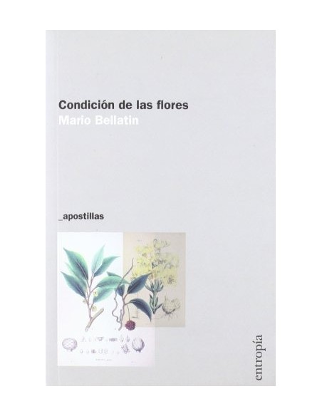 Condición de las flores (Nuevo) Condición de las flores (Nuevo)