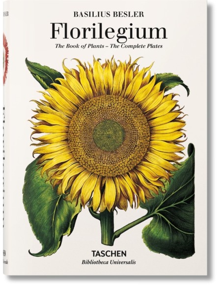Florilegium (Nuevo) Florilegium (Nuevo)