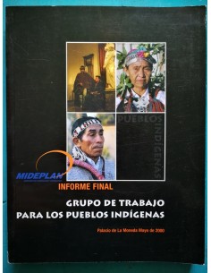Informe final Pueblos indígenas (Usado)