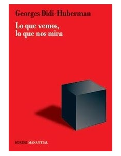 Lo que vemos, lo que nos mira (Usado)