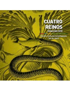 Cuatro Reinos (Usado)