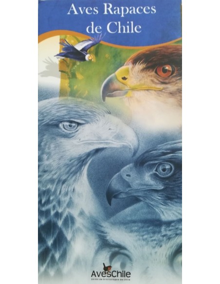 Aves rapaces de Chile. Catálogo (Nuevo)