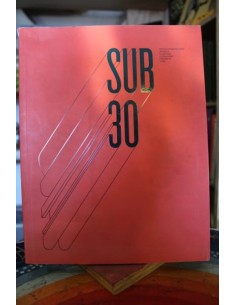 Sub 30. Pintura joven en Chile (Nuevo)