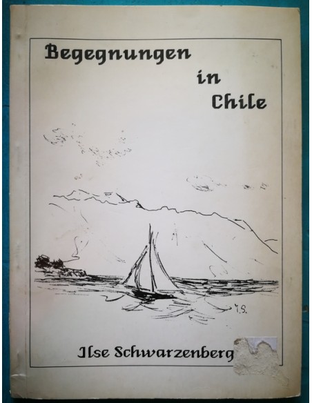 Begegnungen in Chile (Usado)