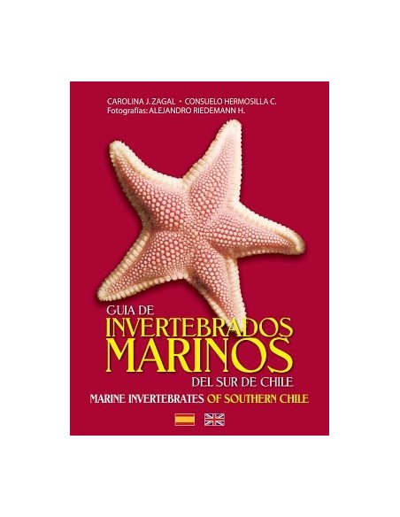 Guia de invertebrados marinos del sur de Chile (Nuevo) Guia de invertebrados marinos del sur de Chile (Nuevo)