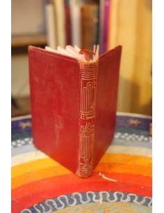 La flecha negra (Aguilar) (Usado)