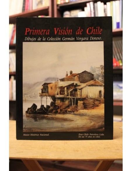 Primera visión de Chile (Usado) Primera visión de Chile (Usado)
