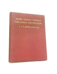 Unusual things for lively youngsters (Usado)