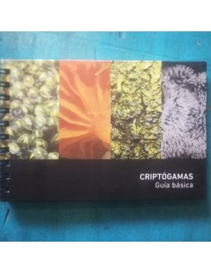 Criptógamas. Guía básica (Usado)