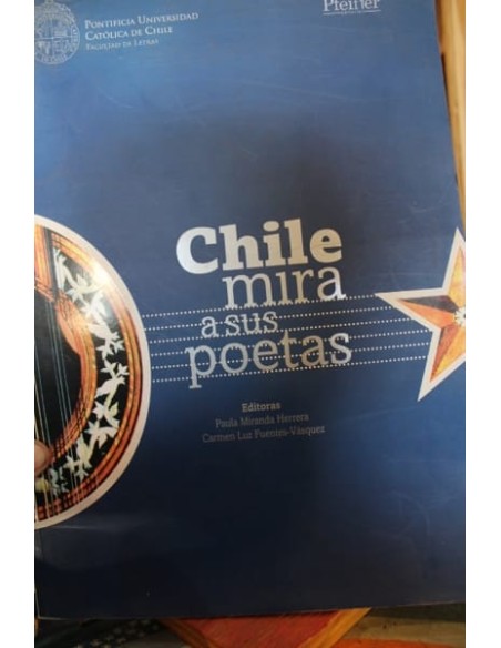 Chile mira a sus poetas (Usado)