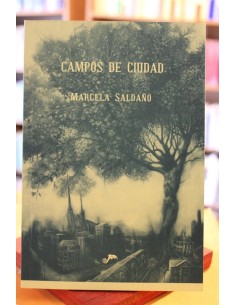 Campos de ciudad (Usado)