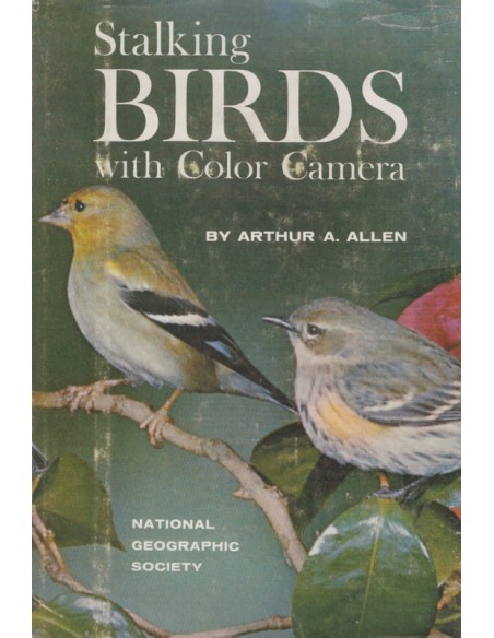 Stalking Birds with color camera (Usado)