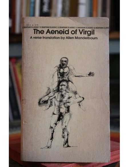 The Aeneid (Usado)