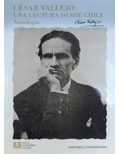 Una lectura desde Chile. Antología (Usado)