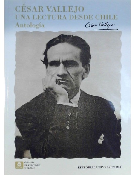 Una lectura desde Chile. Antología (Usado) Una lectura desde Chile. Antología (Usado)