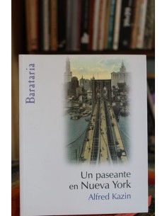 Un paseante en Nueva York (Usado)
