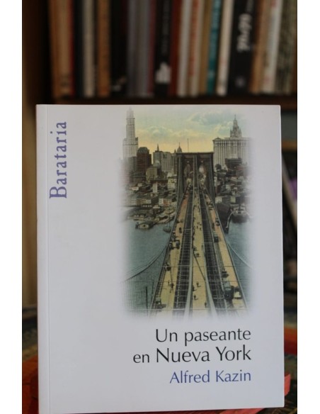 Un paseante en Nueva York (Usado) Un paseante en Nueva York (Usado)