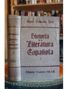 Historia de la Literatura Española (Tomo I) (Usado)