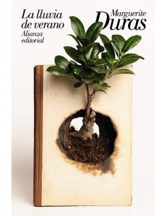 La lluvia de verano (Nuevo)