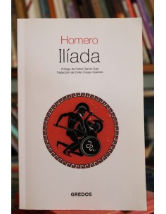 Ilíada (Usado)