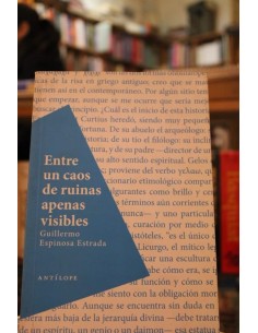 Entre un caos de ruinas apenas visibles (Usado)