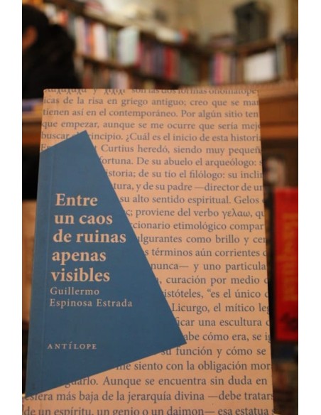 Entre un caos de ruinas apenas visibles (Usado) Entre un caos de ruinas apenas visibles (Usado)