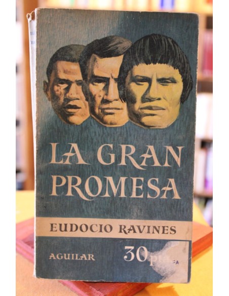 La gran promesa (Usado)