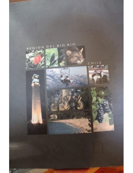 Región del Biobío (Nuevo) Región del Biobío (Nuevo)