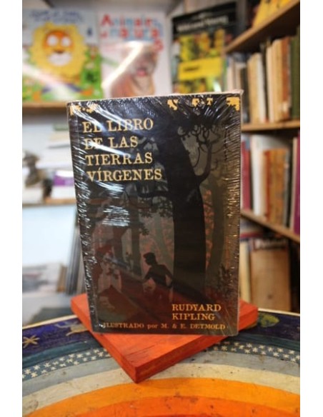 El libro de las tierras vírgenes (Nuevo) El libro de las tierras vírgenes (Nuevo)
