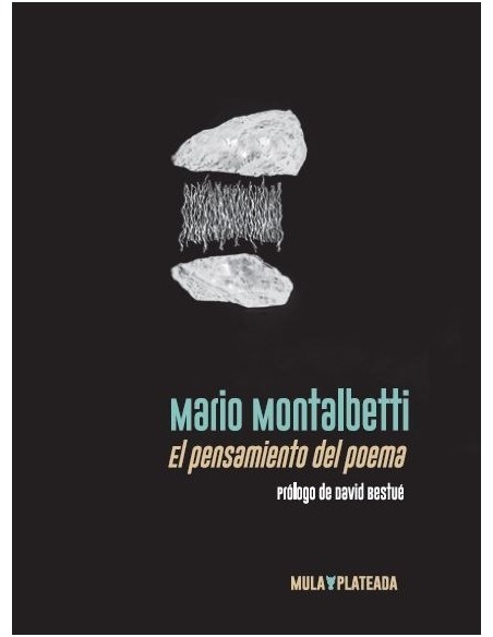 El Pensamiento Del Poema (Nuevo)