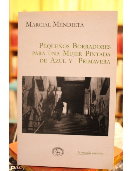 Pequeños borradores para una mujer pintada de azul y primavera (Usado) Pequeños borradores para una mujer pintada de azul y primavera (Usado)