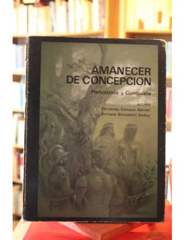 Amanecer de Concepción. Prehistoria y...