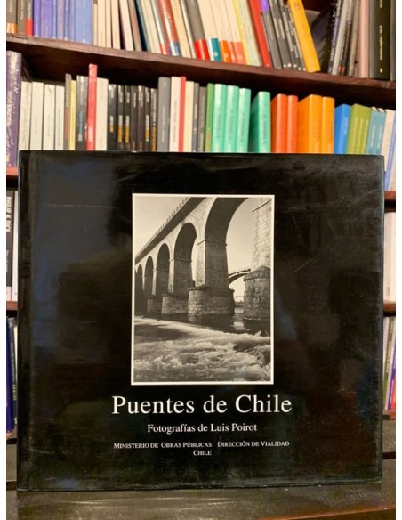 Puentes de Chile (Usado) Puentes de Chile (Usado)