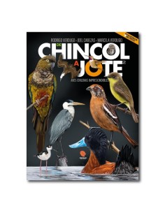 De chincol a jote 2 (Nuevo)