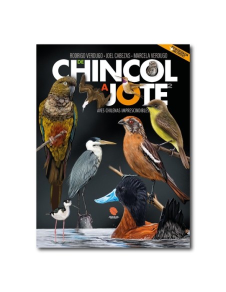 De chincol a jote 2 (Nuevo) De chincol a jote 2 (Nuevo)