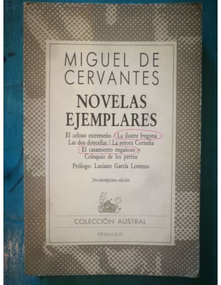 Novelas Ejemplares (Usado)