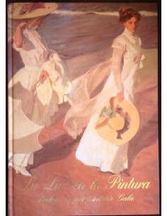 La luz en la pintura (Usado)