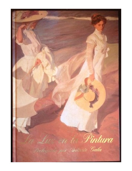 La luz en la pintura (Usado)