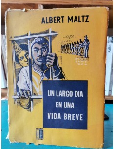 Un largo día en una vida breve (Usado)