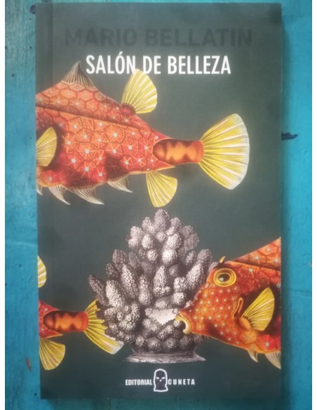 Salón de belleza (Usado) Salón de belleza (Usado)