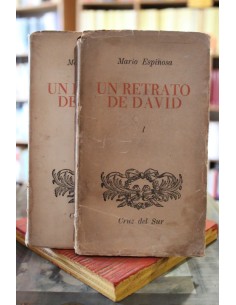 Un retrato de David. Tomo I y II (Usado)